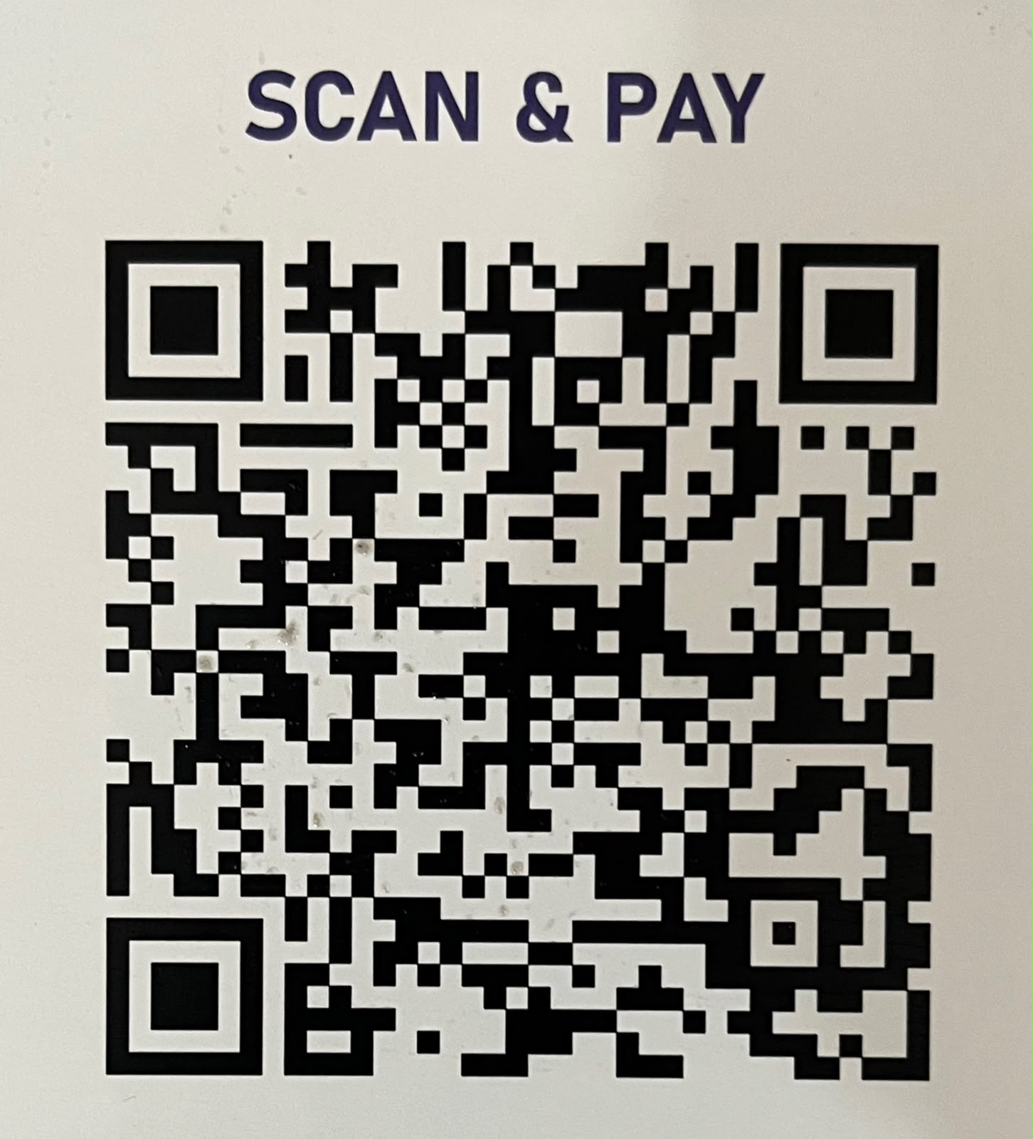 UPI QR Code for donations - Daan Foundation